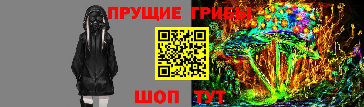 Галлюциногенные грибы ЛСД  Вход с VPN  Скопин  Псилоцибиновые грибы Psilocybe 